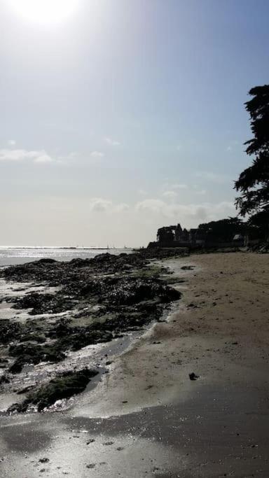 Cosy, Vue Sur Parc, 3 Mins Benoit